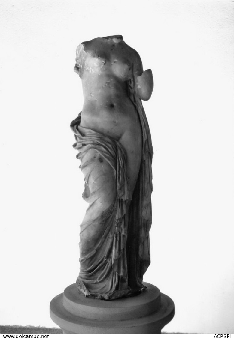 AGEN  Le Musée Venus  33 (scan Recto Verso)MA1490UND - Agen