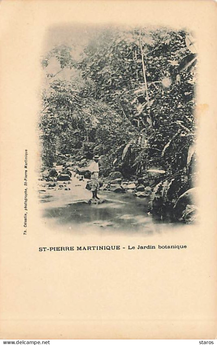 Martinique - ST PIERRE MARTINIQUE - Le Jardin Botanique - Th. Célestin Photographe - Autres & Non Classés