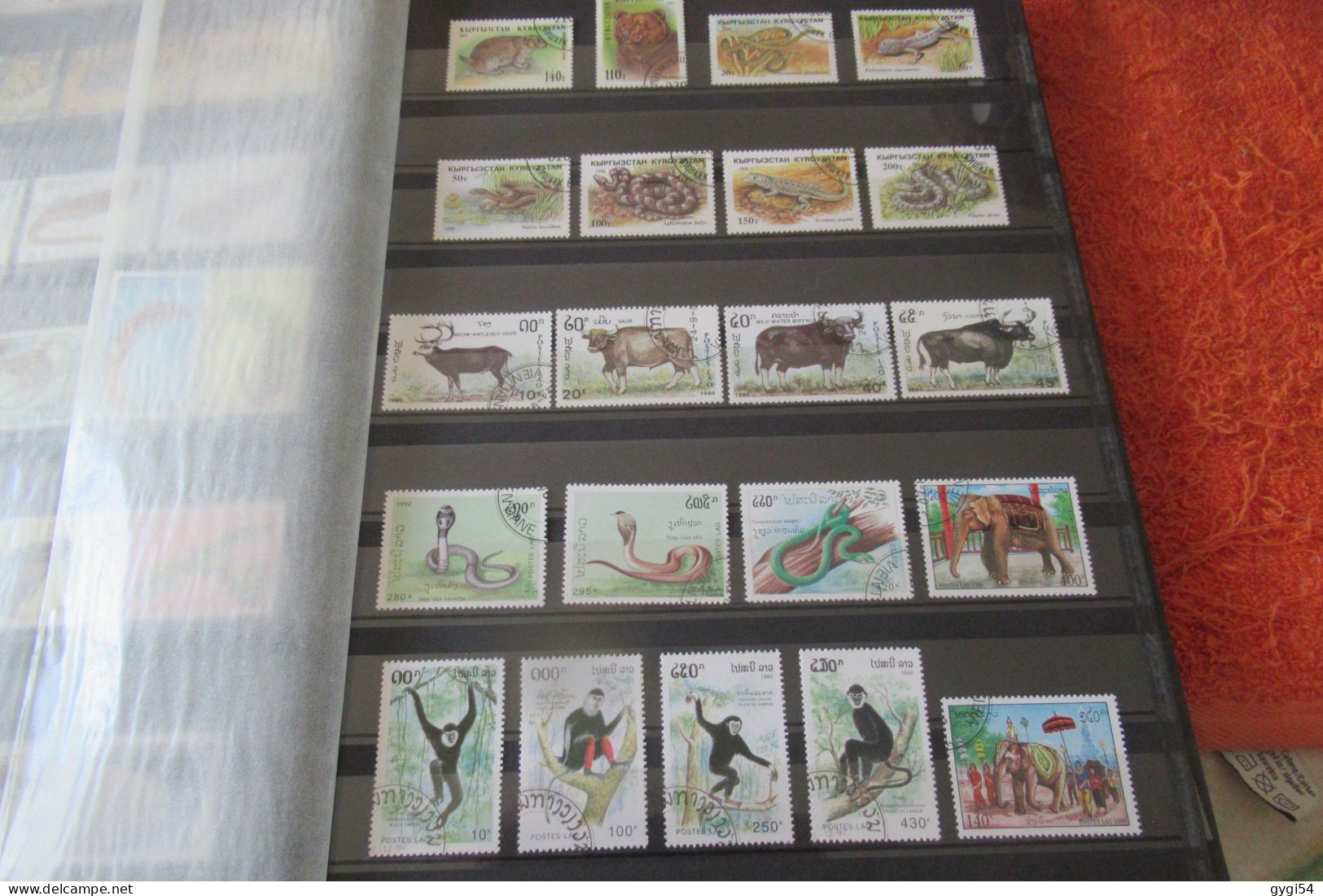 Thème FAUNE TIMBRES 1ER CHOIX  DANS CE CLASSEUR - Other & Unclassified