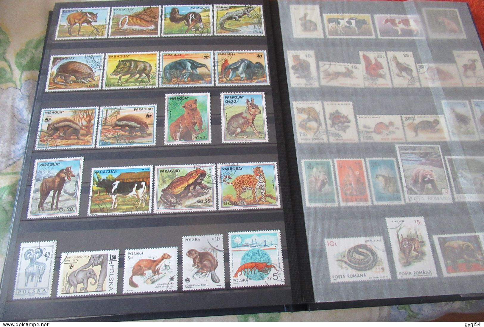 thème FAUNE TIMBRES 1ER CHOIX  DANS CE CLASSEUR