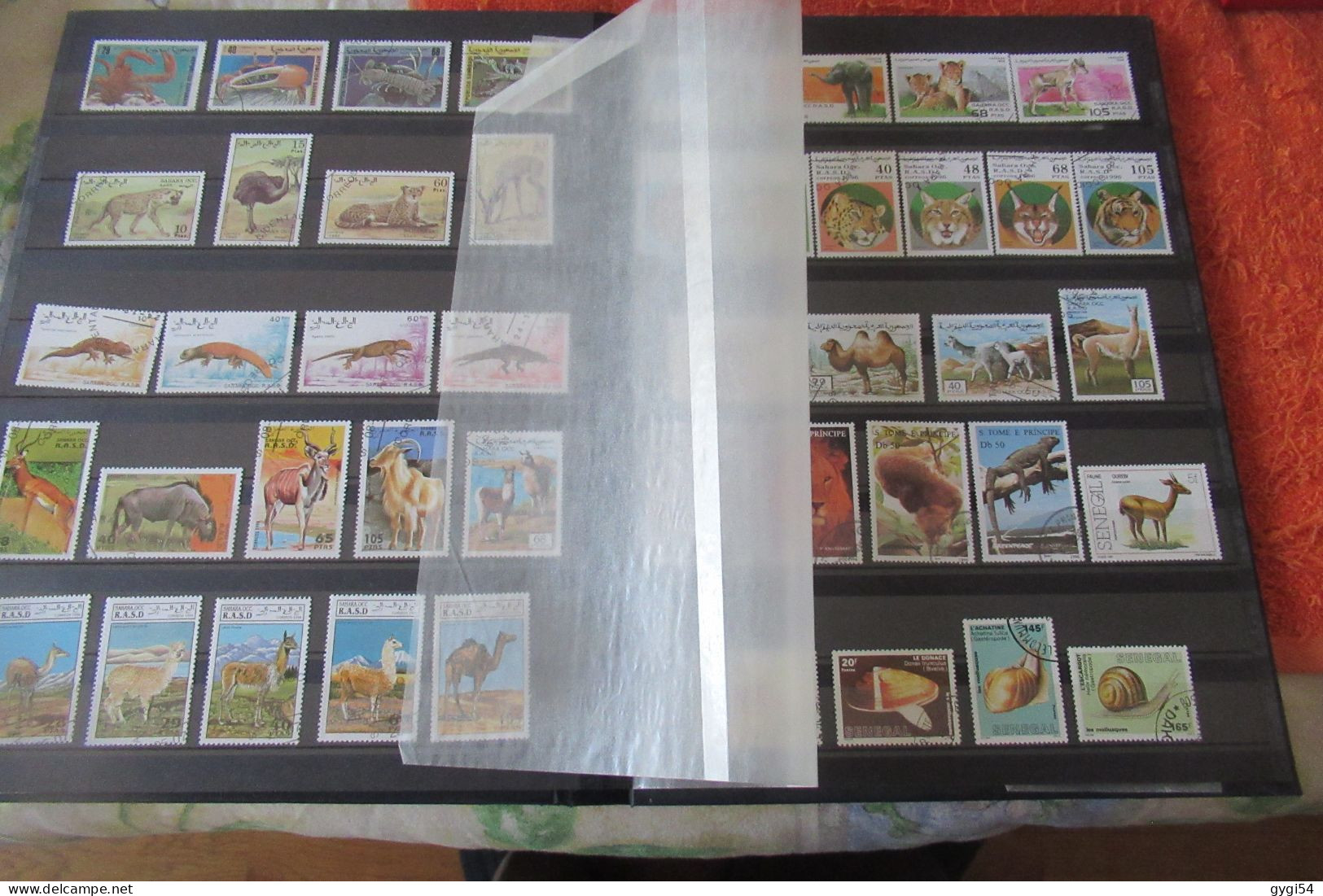 thème FAUNE TIMBRES 1ER CHOIX  DANS CE CLASSEUR