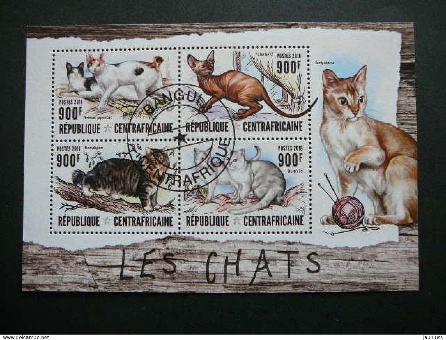 Cats. Katzen. Chats  # Central African Republic # 2016 Used S/s #152  Domestic Cats - Hauskatzen