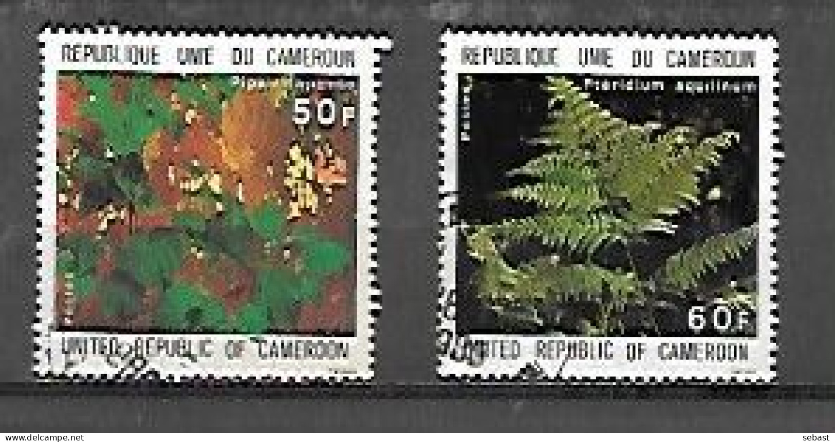 TIMBRE OBLITERE DU CAMEROUN DE 1979 N° MICHEL 921/22 - Cameroon (1960-...)