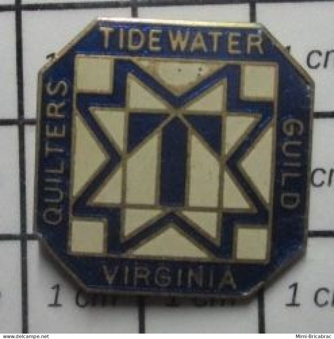 1618A Pin's Pins / Beau Et Rare : ASSOCIATIONS / Pin's USA VIRGINI QUILTERS TIDEWATER GUILD - Verenigingen