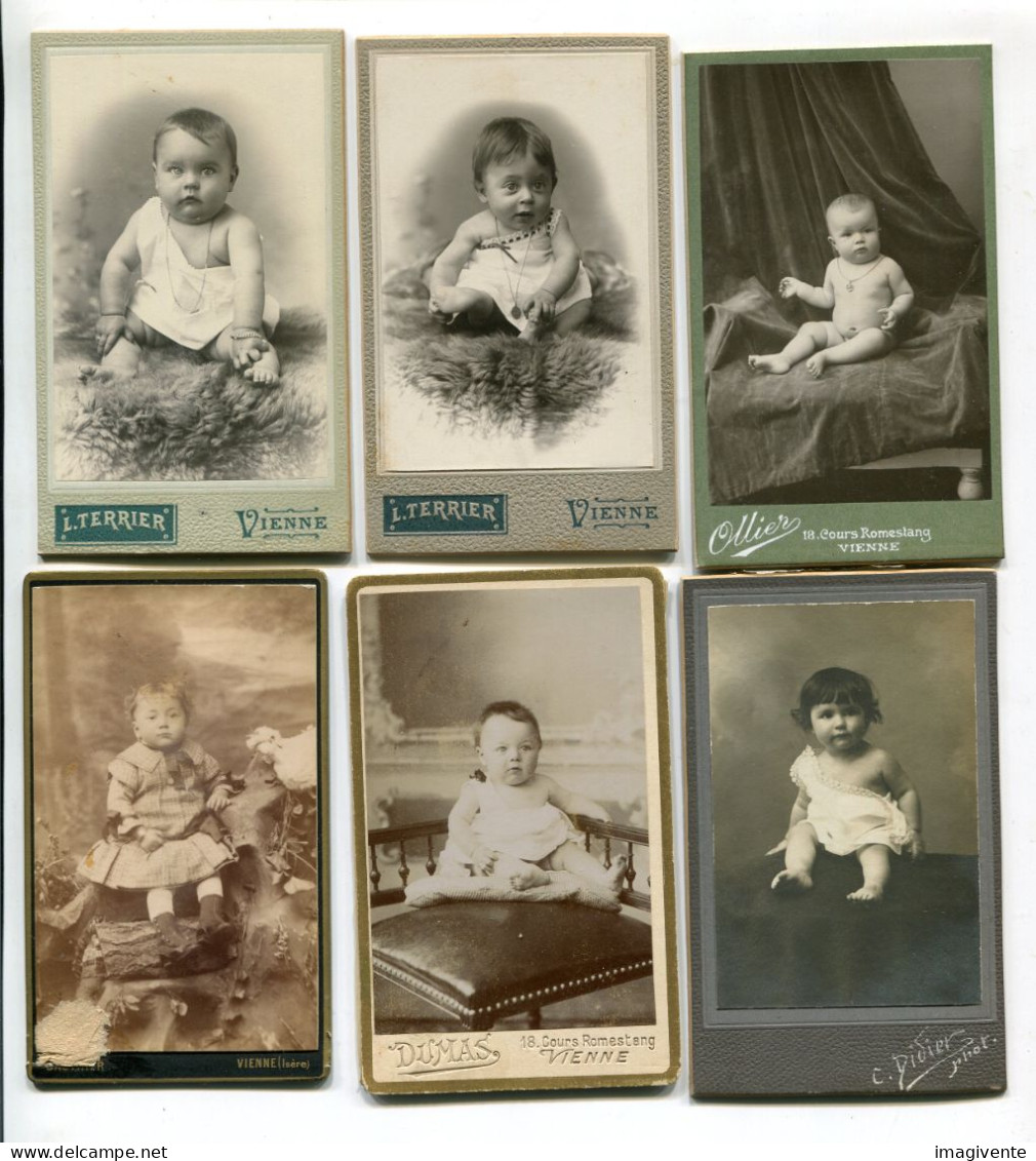 Lot De 6 CDV Cartes Photos De BEBES VIENNE Isère DUMAS GAULTHIER TERRIER OLLIER - Sin Clasificación