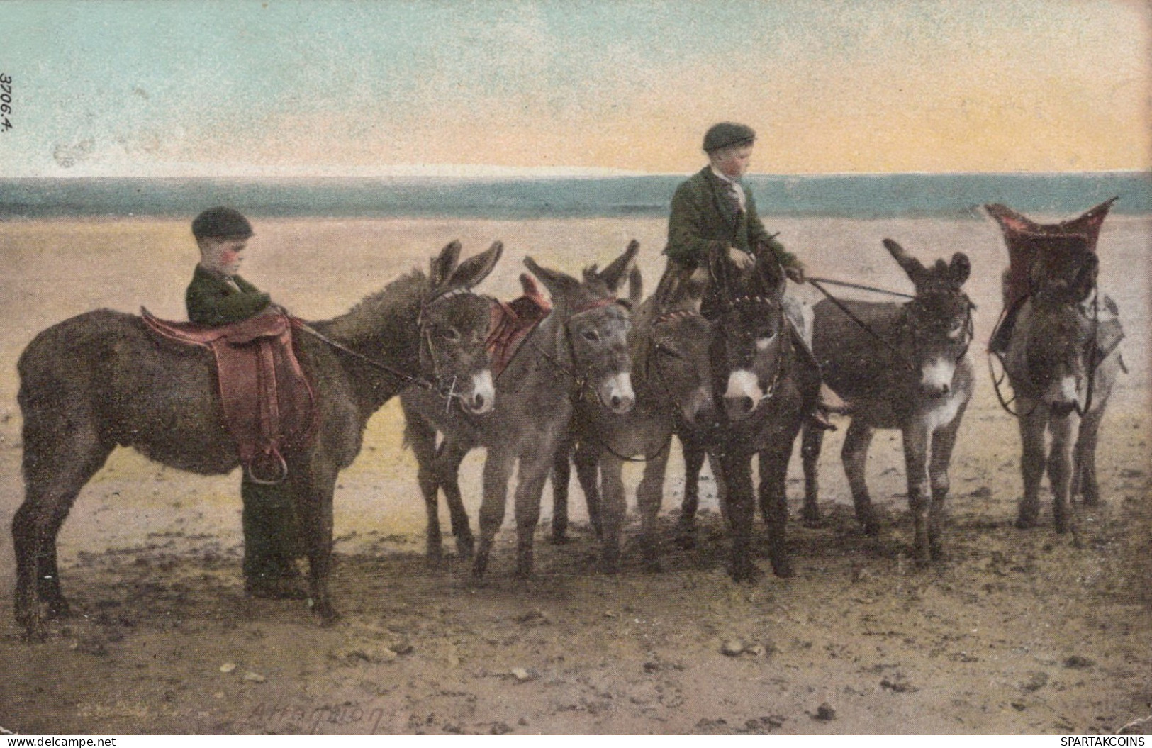 DONKEY Animals Children Vintage Antique Old CPA Postcard #PAA328.GB - Donkeys