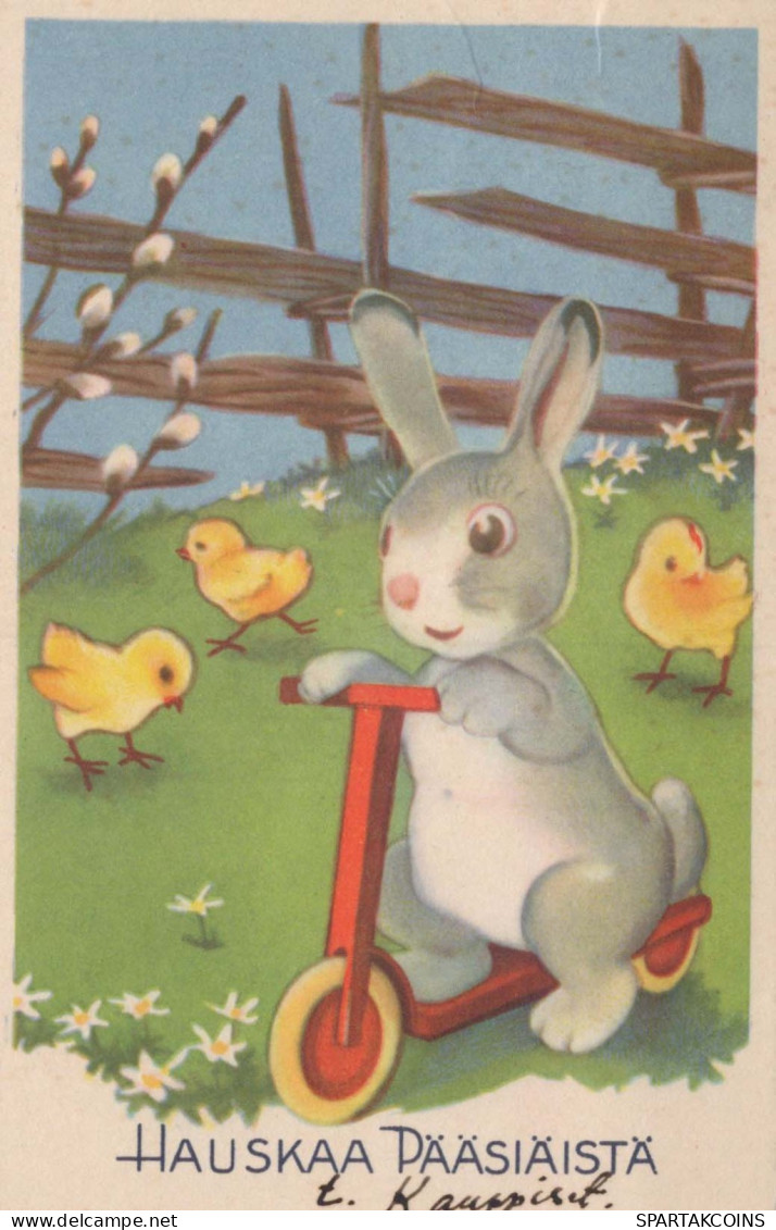 EASTER RABBIT Vintage Postcard CPA #PKE309.GB - Easter