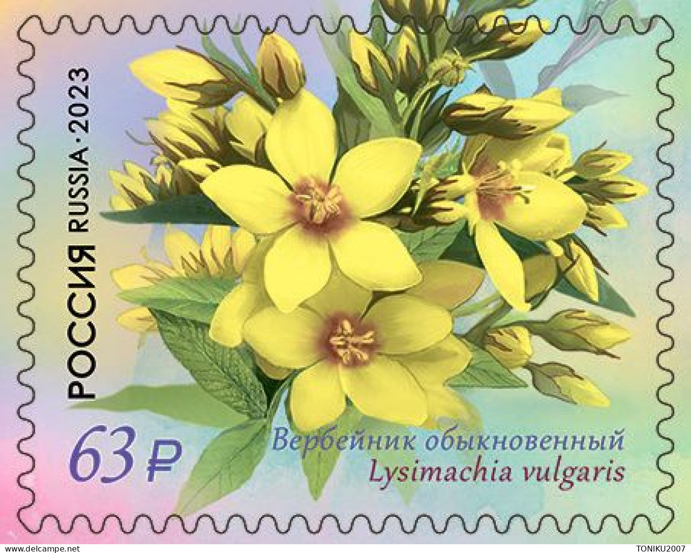 RUSSIE/RUSSIA/RUSSLAND/ROSJA 2023** MI.3265-68  ,ZAG..3040-43 Flora Of Russia. Primrose Family series MNH ** - Unused Stamps