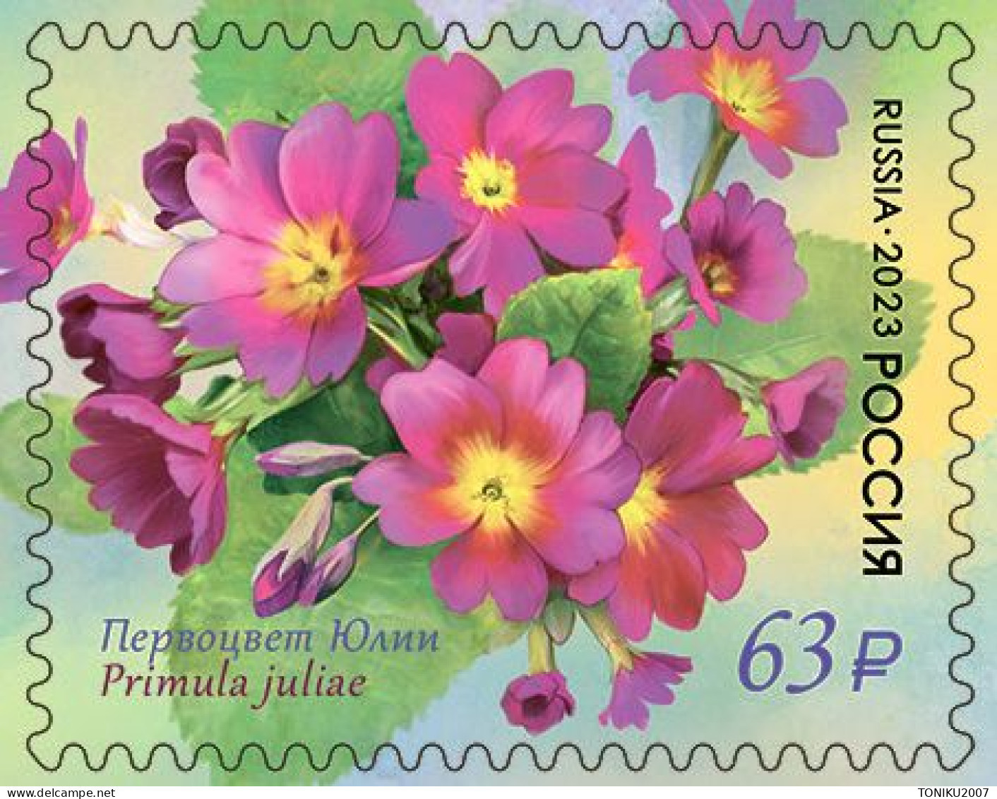 RUSSIE/RUSSIA/RUSSLAND/ROSJA 2023** MI.3265-68  ,ZAG..3040-43 Flora Of Russia. Primrose Family series MNH ** - Nuovi