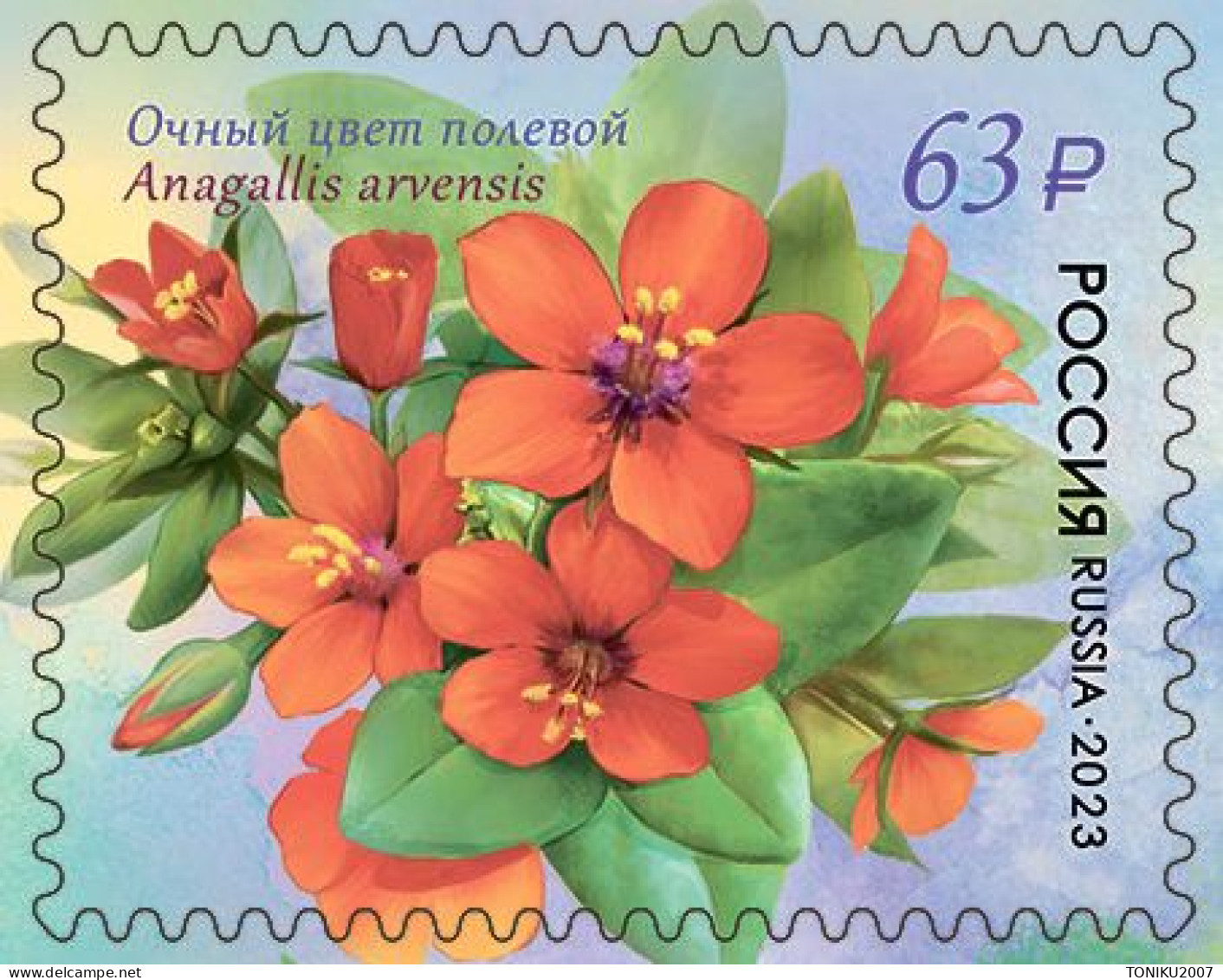 RUSSIE/RUSSIA/RUSSLAND/ROSJA 2023** MI.3265-68  ,ZAG..3040-43 Flora Of Russia. Primrose Family series MNH ** - Neufs