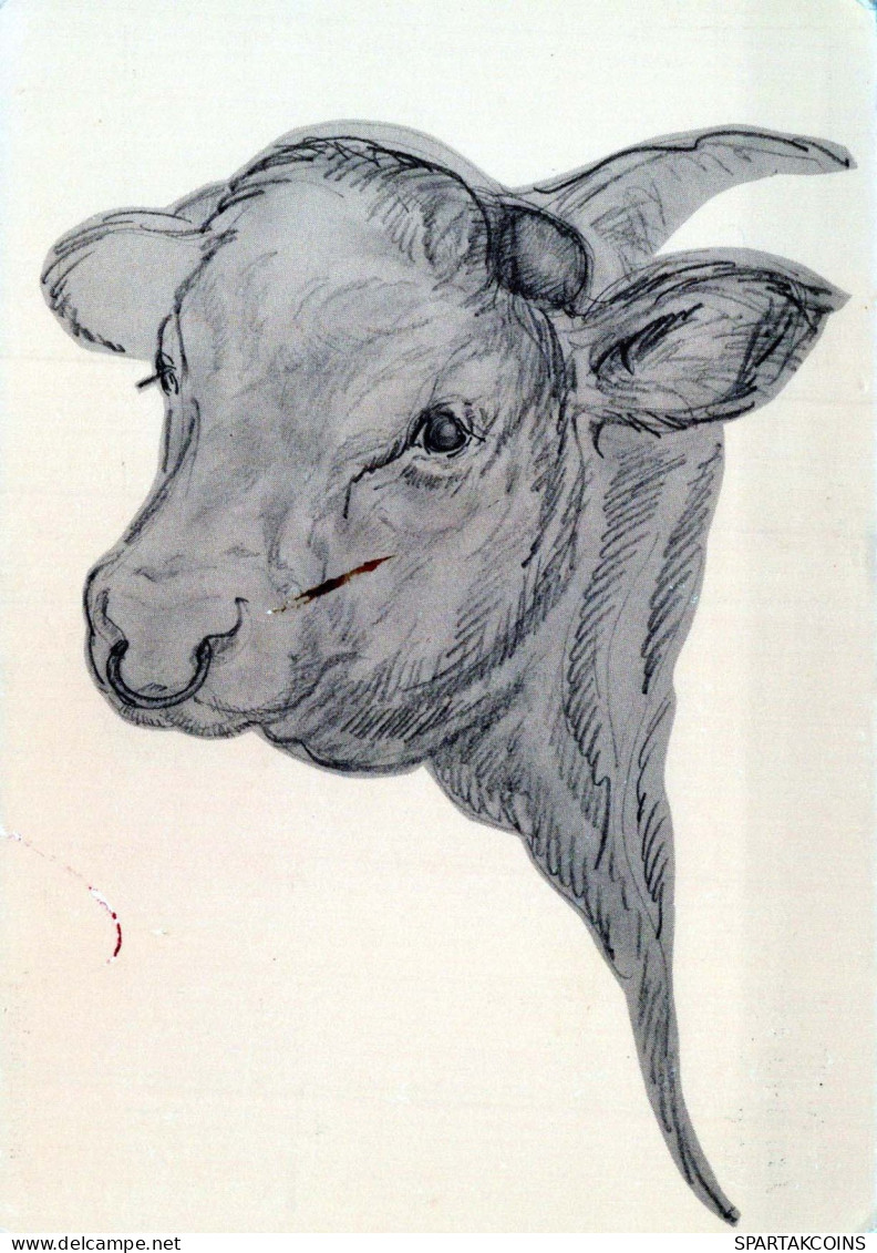VACA Animales Vintage Tarjeta Postal CPSM #PBR814.ES - Cows