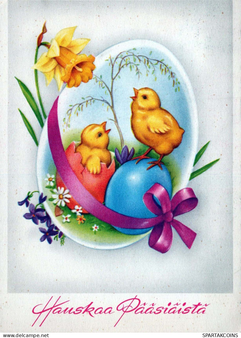 PASCUA POLLO HUEVO Vintage Tarjeta Postal CPSM #PBO676.ES - Easter