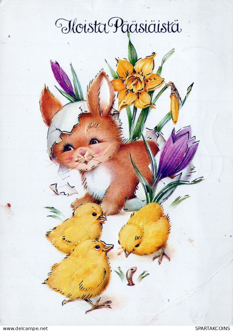 PASCUA POLLO HUEVO Vintage Tarjeta Postal CPSM #PBO613.ES - Easter