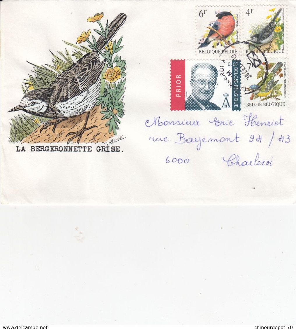 OISEAUX BUZIN LA BERGERONNETTE - 1985-.. Birds (Buzin)