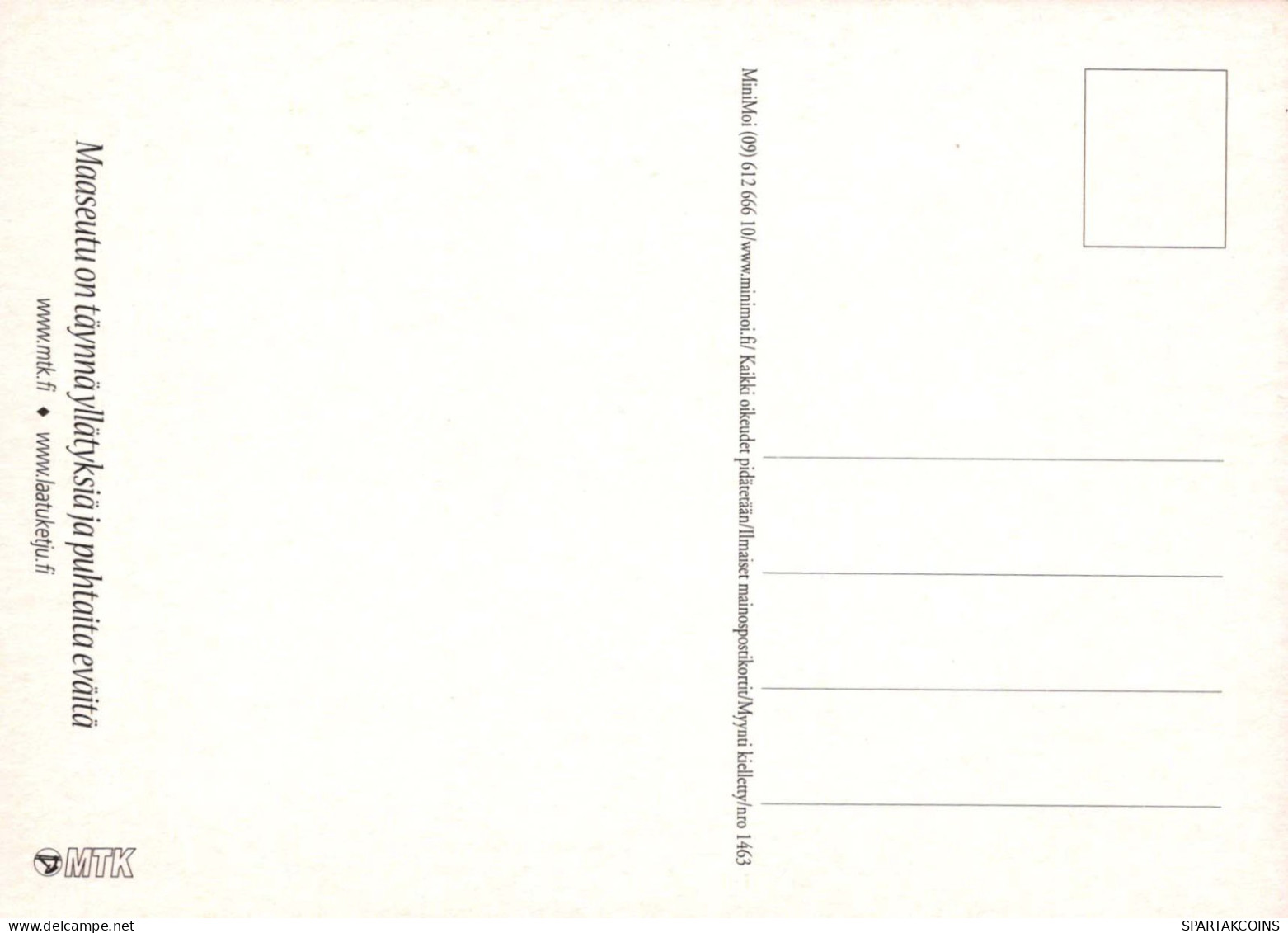 PORCS Animaux Vintage Carte Postale CPSM #PBR753.FR - Schweine
