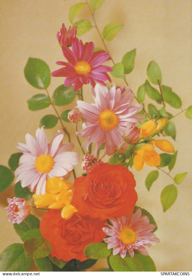 FLEURS Vintage Carte Postale CPSM #PAS103.FR - Blumen