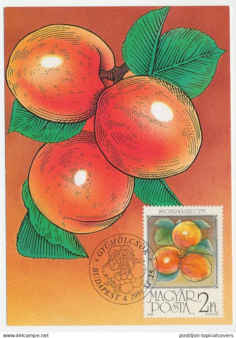 Maximum Card Hungary 1986 Apricot - Fruit