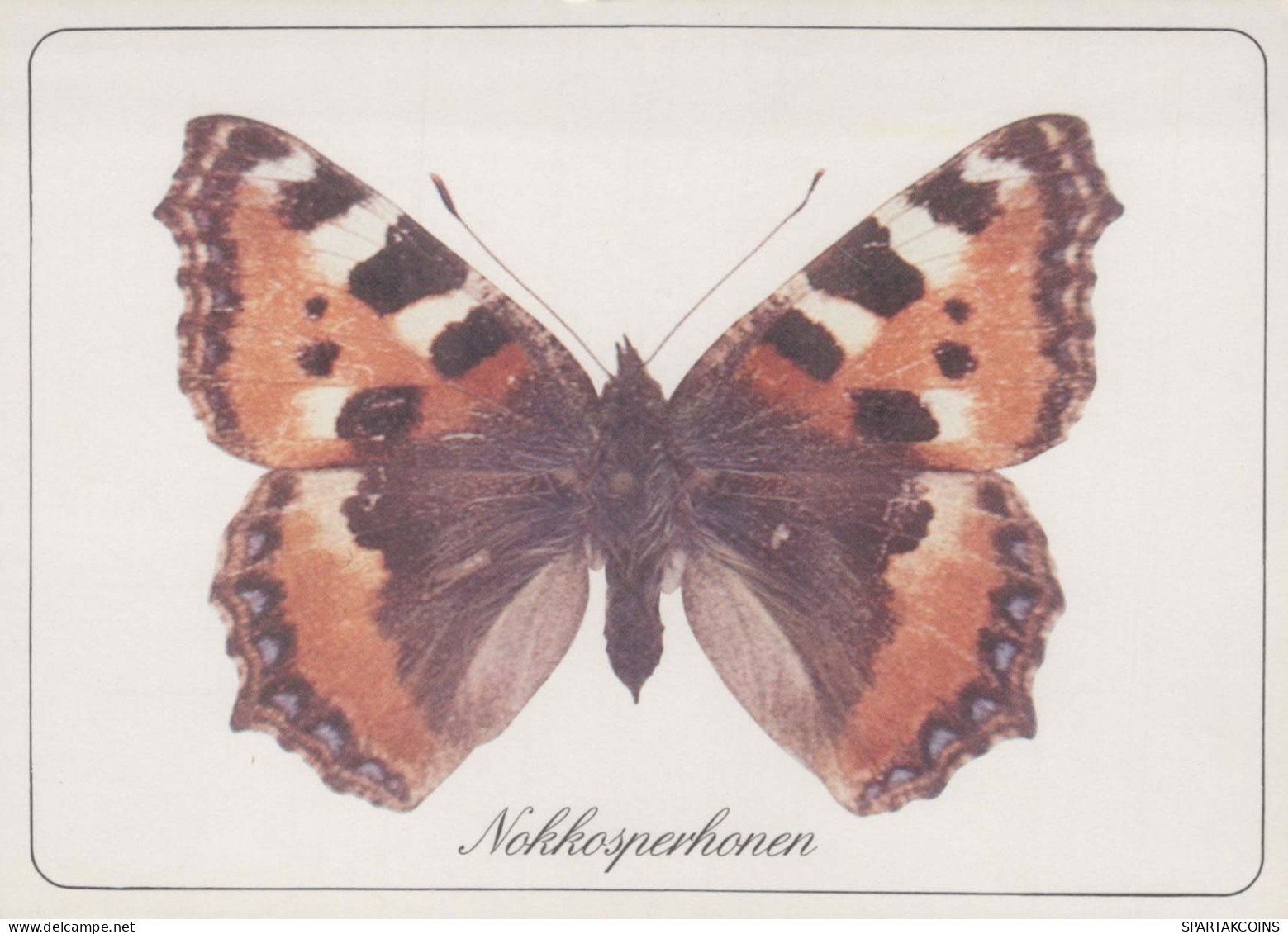 SCHMETTERLINGE Tier Vintage Ansichtskarte Postkarte CPSM #PBS418.DE - Butterflies