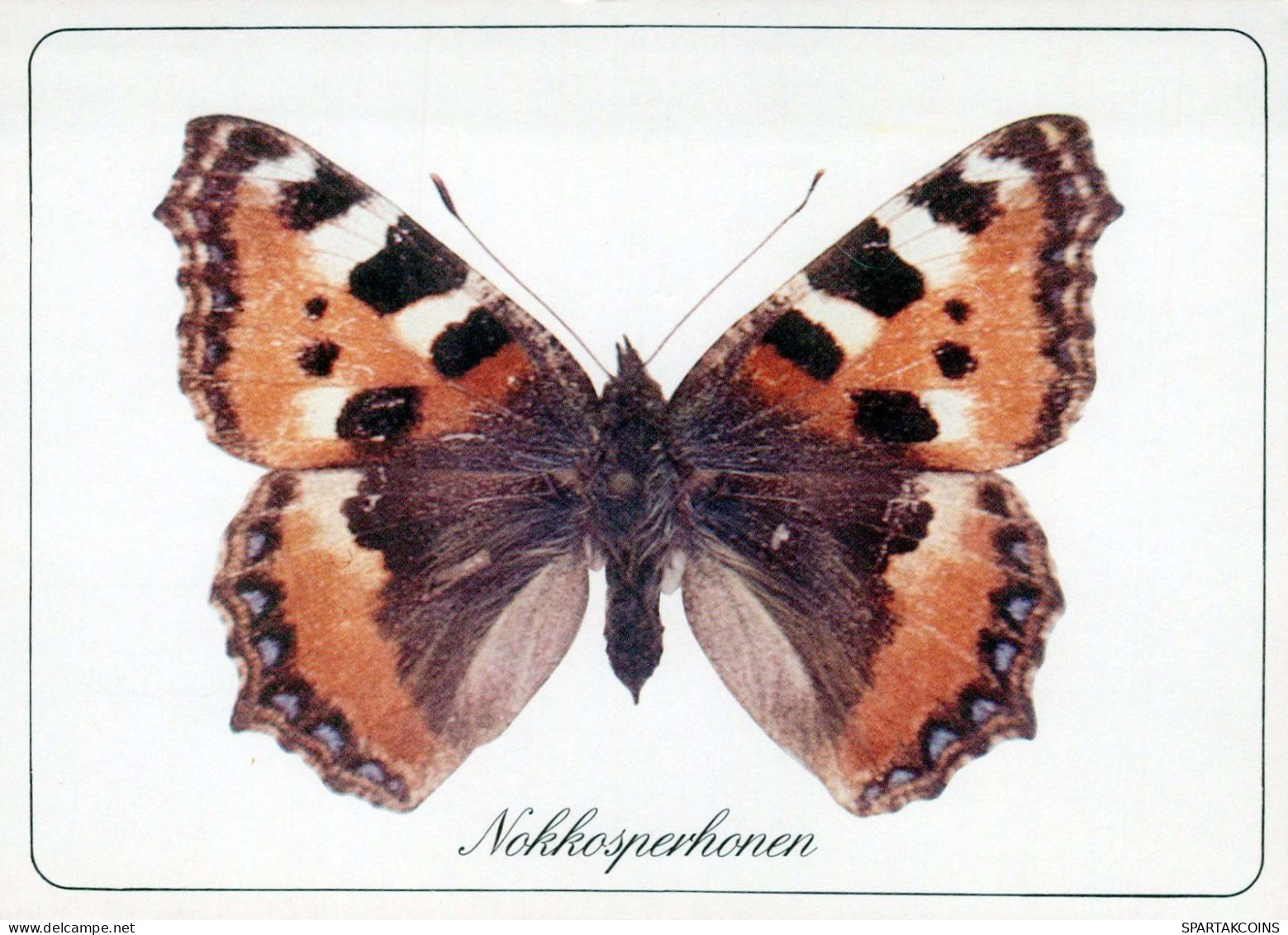 SCHMETTERLINGE Tier Vintage Ansichtskarte Postkarte CPSM #PBS418.DE - Papillons