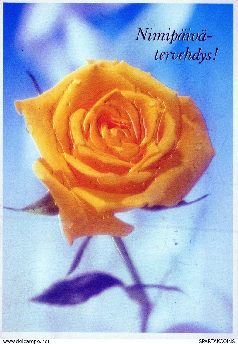 FLOWERS Vintage Ansichtskarte Postkarte CPSM #PAS344.DE - Blumen