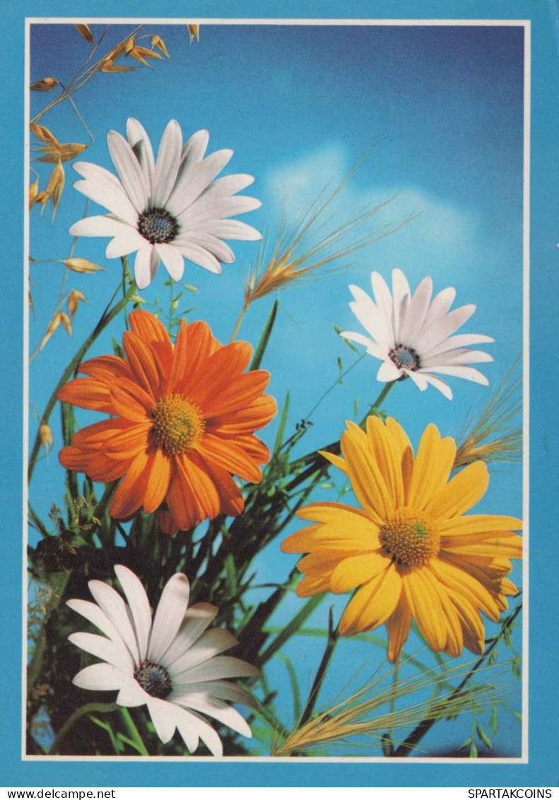 FLOWERS Vintage Ansichtskarte Postkarte CPSM #PAS464.DE - Blumen