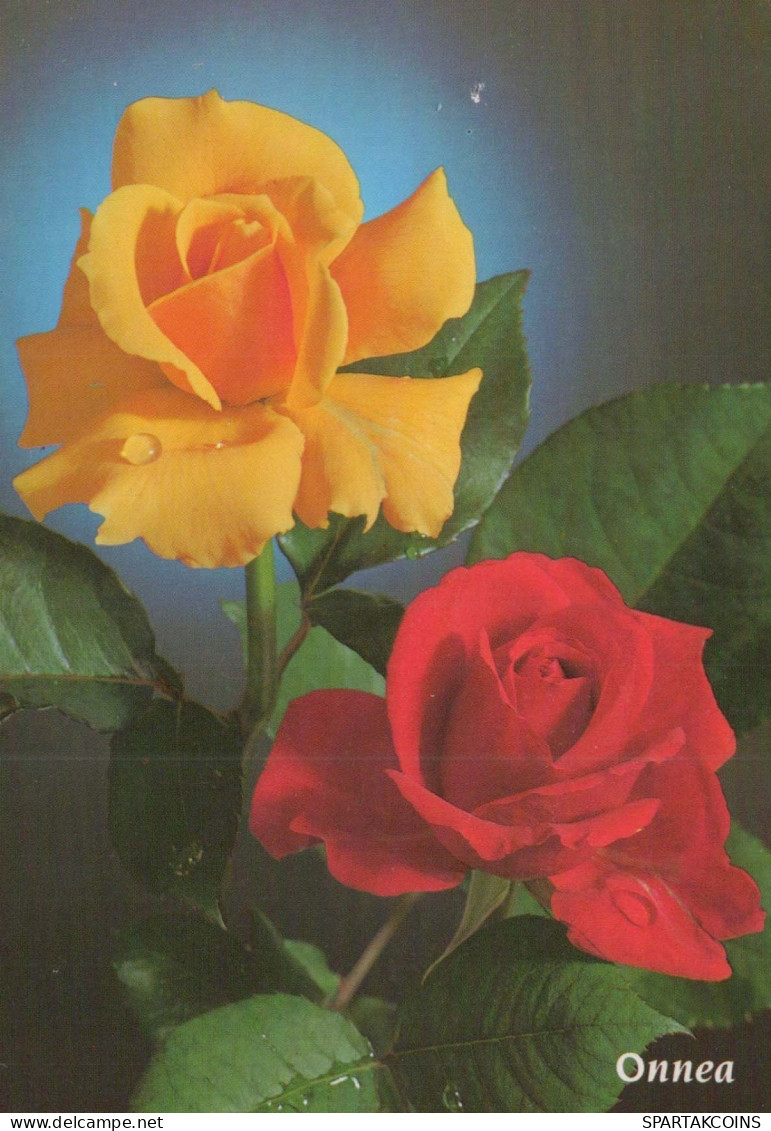 FLOWERS Vintage Ansichtskarte Postkarte CPSM #PAS164.DE - Blumen