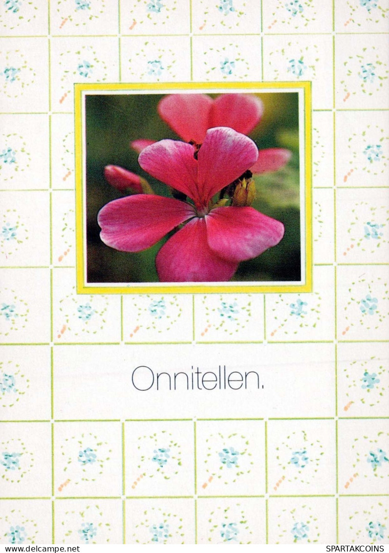 FLOWERS Vintage Ansichtskarte Postkarte CPSM #PAR563.DE - Blumen