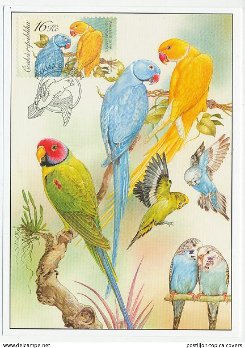 Maximum Card Czech Republic 2004 Bird - Parakeet - Lovebird - Other & Unclassified