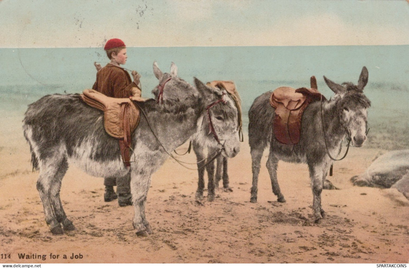 ÂNE Animaux Enfants Vintage Antique CPA Carte Postale #PAA330.FR - Burros