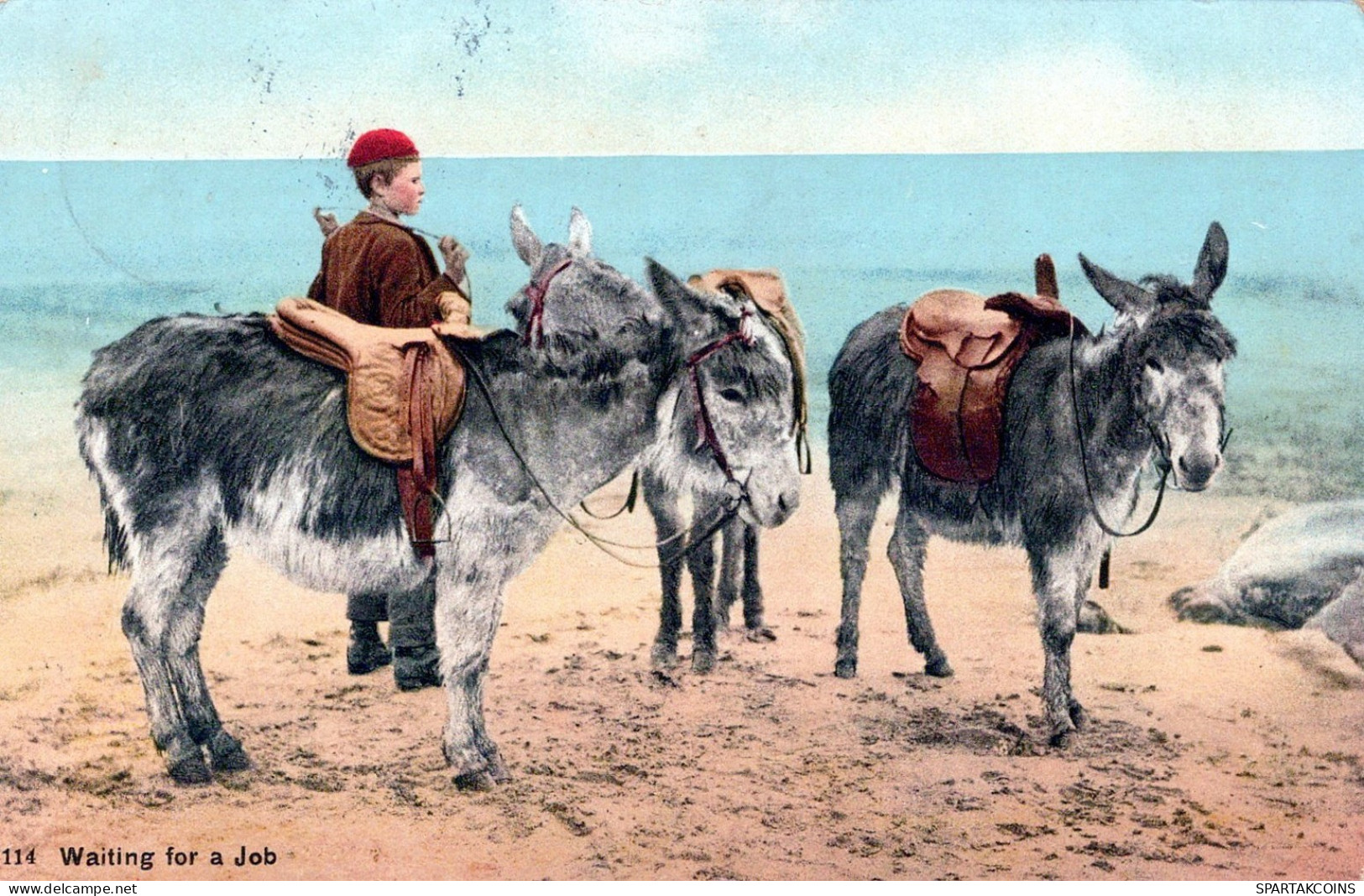 ÂNE Animaux Enfants Vintage Antique CPA Carte Postale #PAA330.FR - Burros