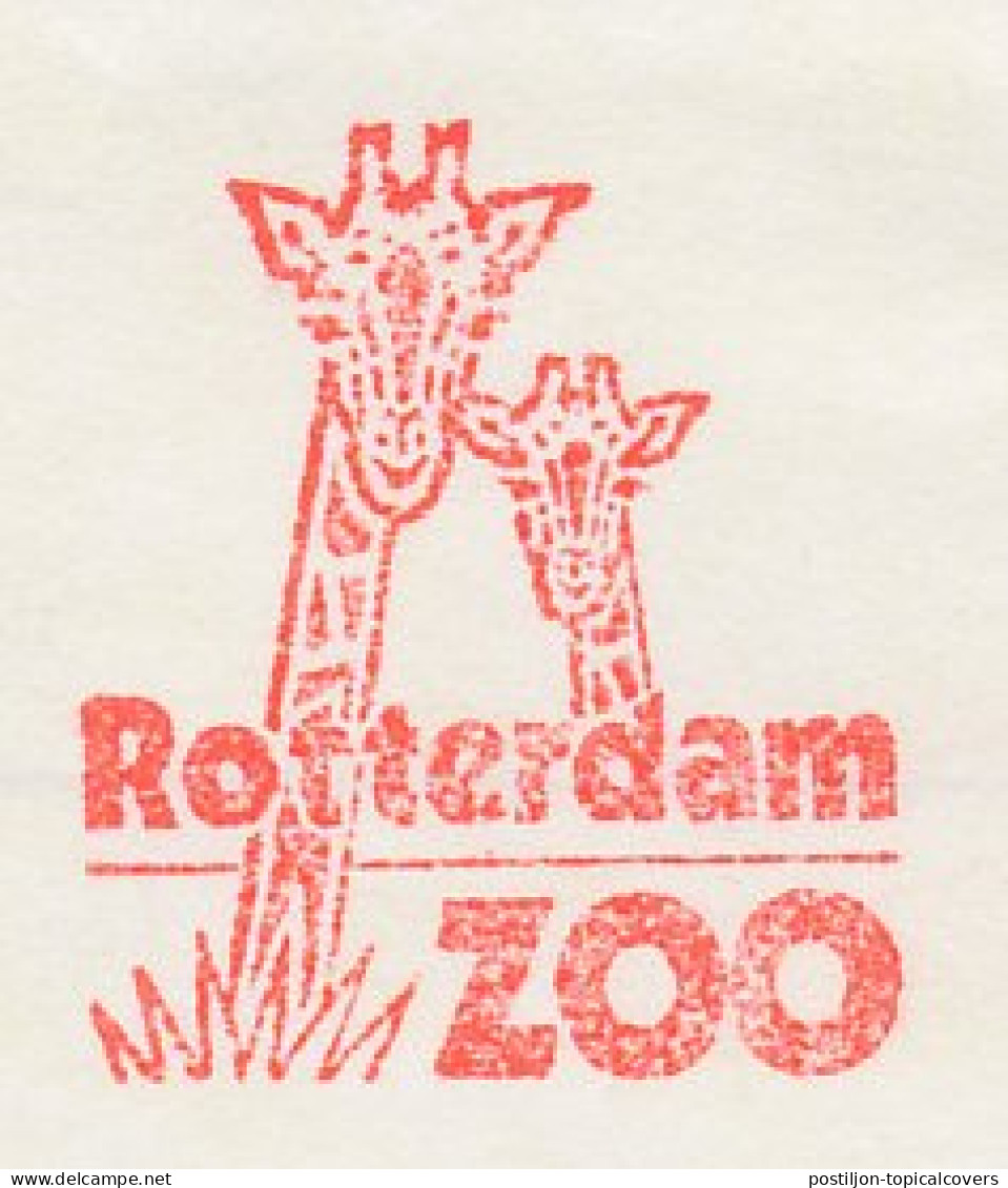 Meter Cut Netherlands 2000 Giraffe - Zoo Rotterdam - Andere & Zonder Classificatie
