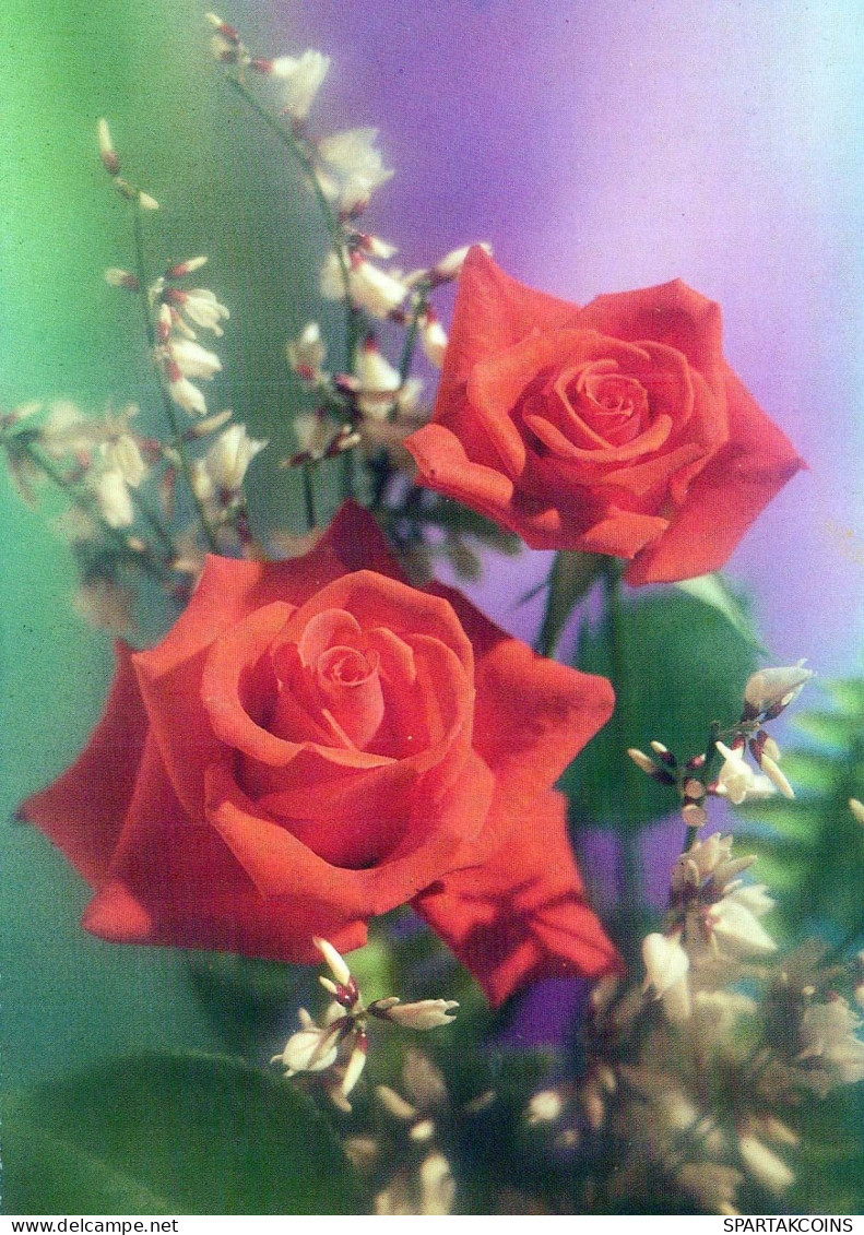 FIORI Vintage Cartolina CPSM #PAS105.IT - Flowers
