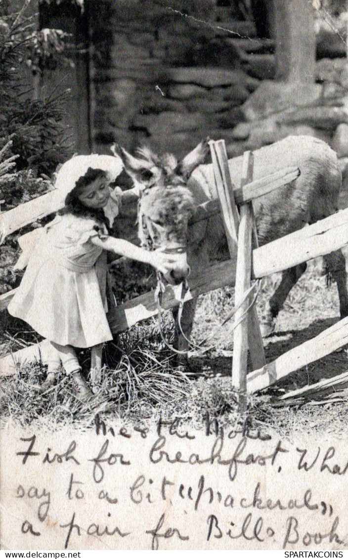 ESEL Tiere Kinder Vintage Antik Alt CPA Ansichtskarte Postkarte #PAA168.DE - Donkeys