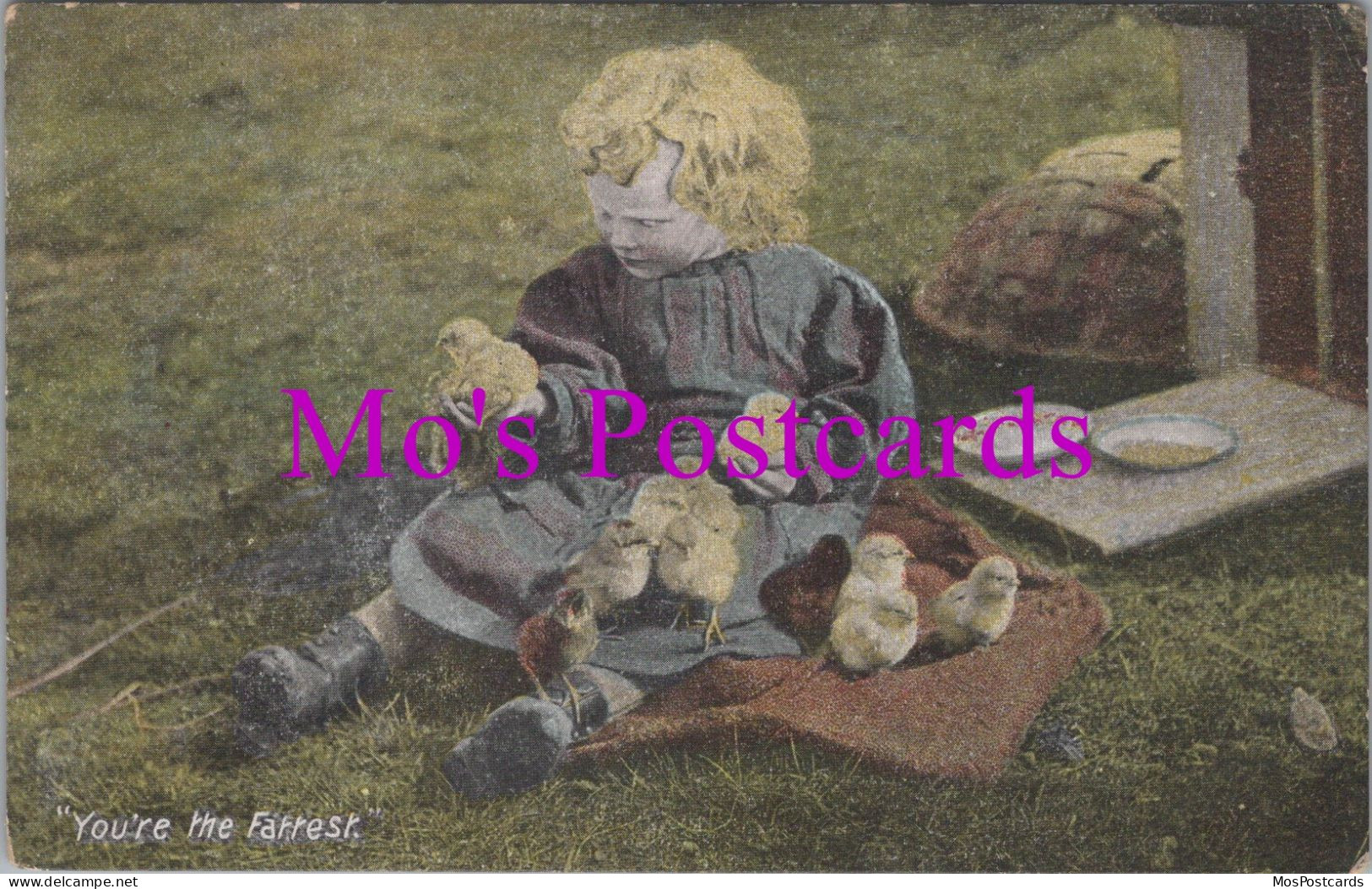 Children Postcard - Child With Chicks, "You're The Fattest" DZ96 - Humorous Cards