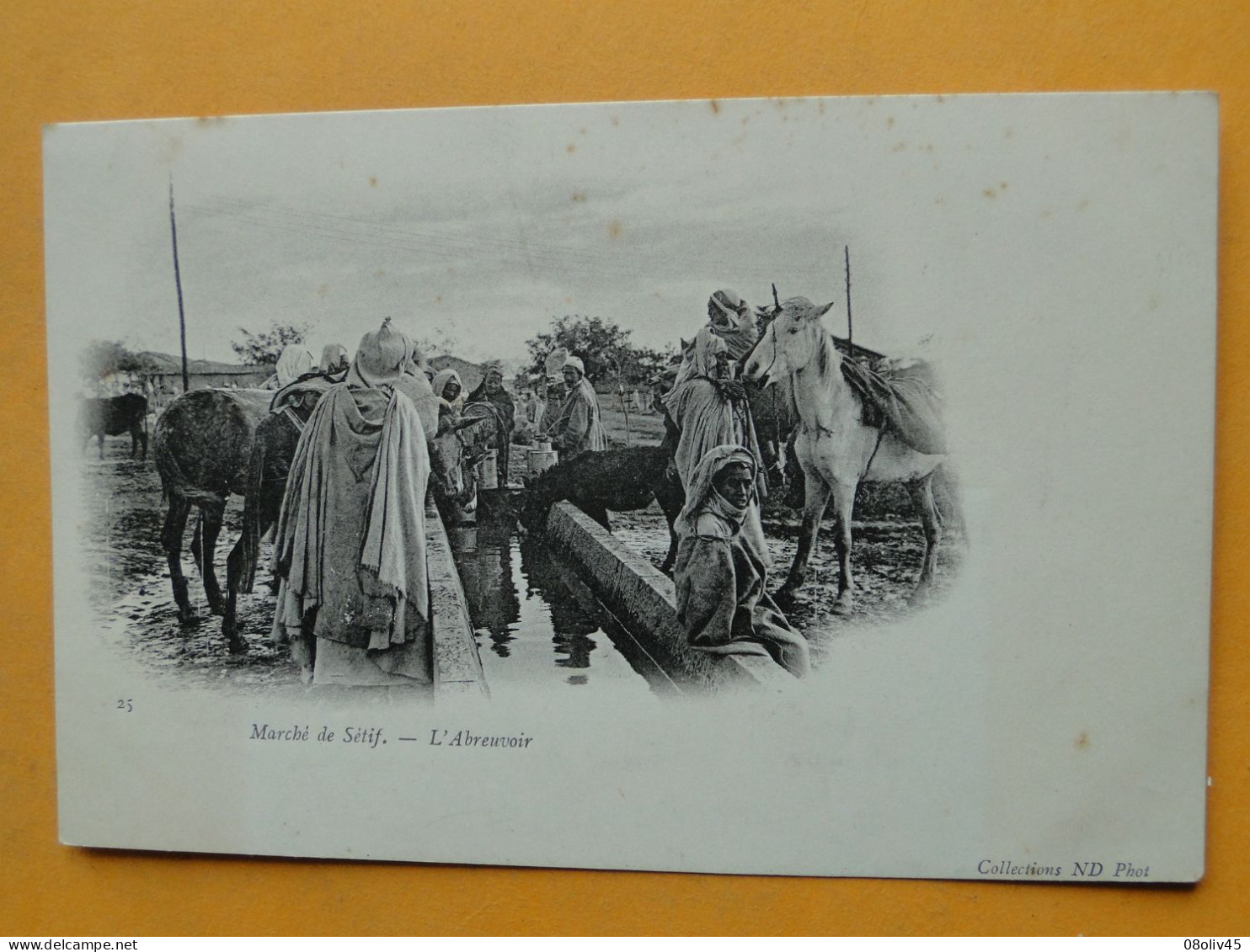 Cpa Algérie -- SETIF -- Chevaux à L'Abreuvoir Du Marché De Sétif  - Carte " Précurseur " ANIMEE - Sétif