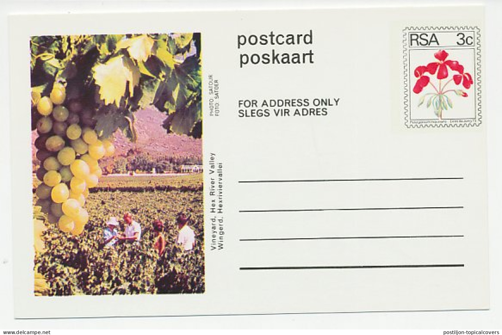 Postal Stationery South Africa 1973 Wine - Vineyard - Vins & Alcools