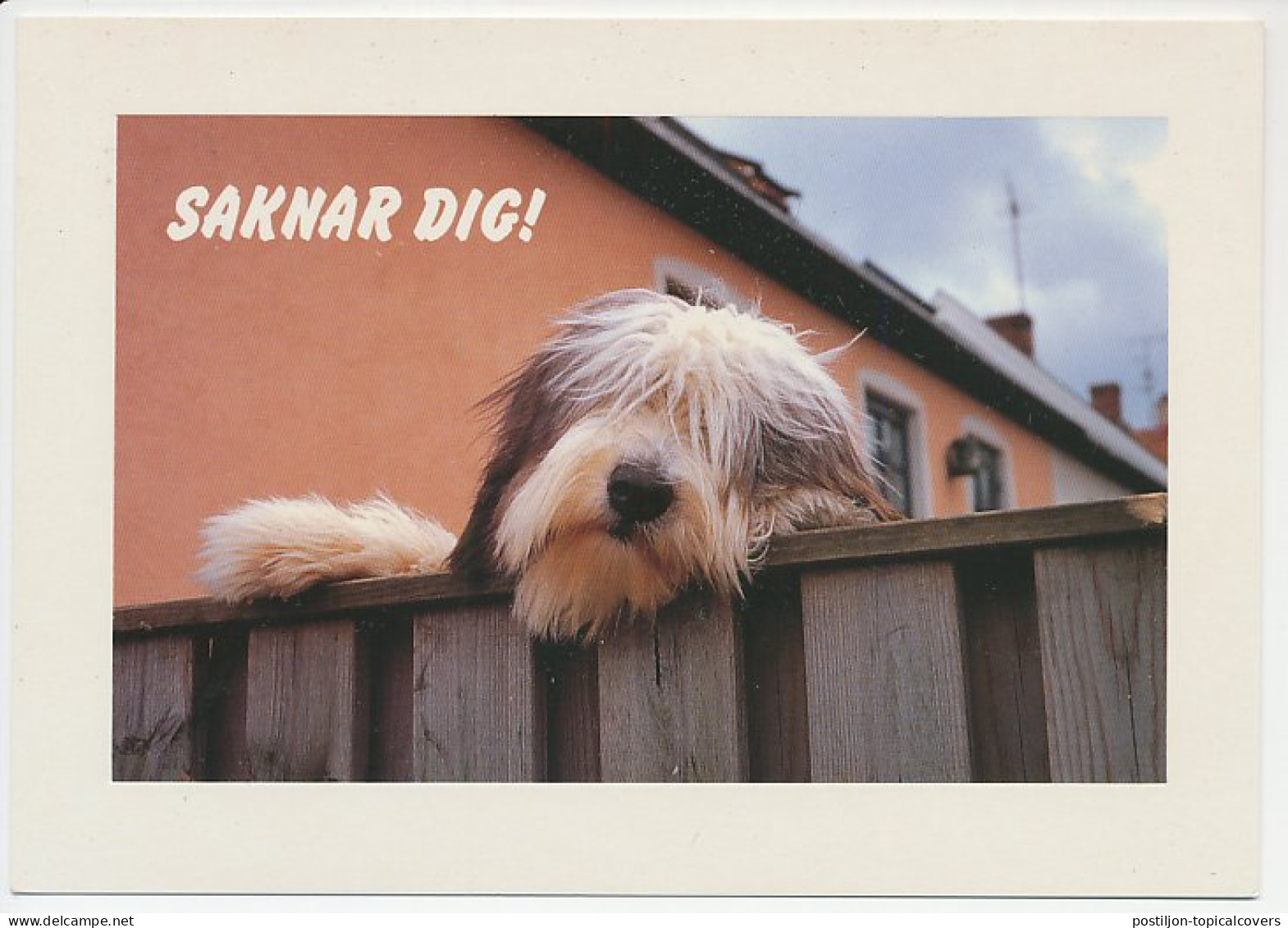Postal Stationery Sweden 2001 Dog - Andere & Zonder Classificatie