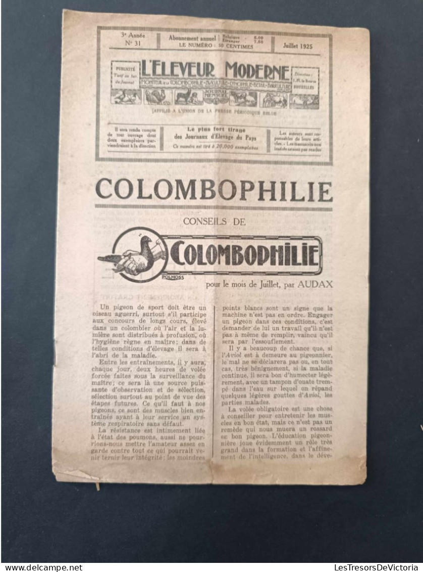 Colombophilie - Consiels De Colombophilie - Juillet 1925 - Autres & Non Classés