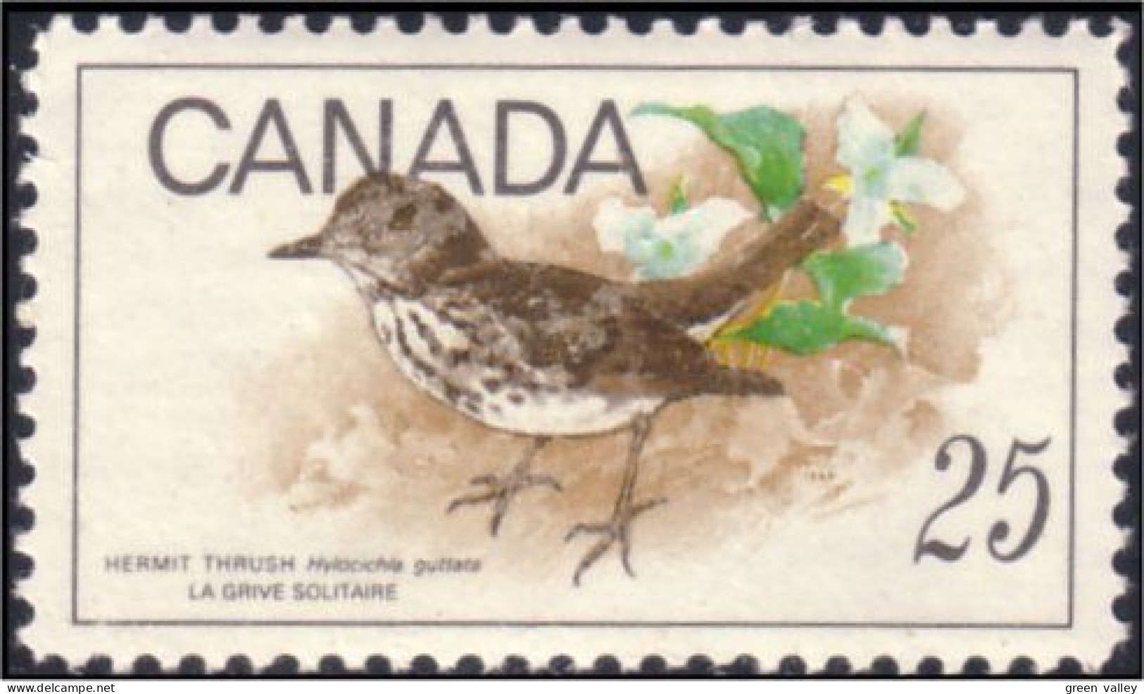 Canada Grive Solitaire Hermit Thrush MNH ** Neuf SC (04-98c) - Moineaux