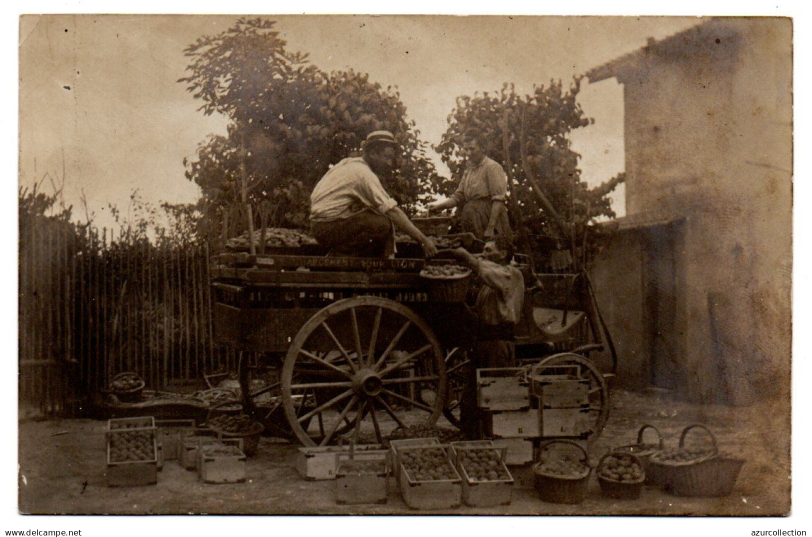 Triage Des Pommes De Terre Dans La Cour De La Ferme. Carte Photo Animée Non Située - Bauern