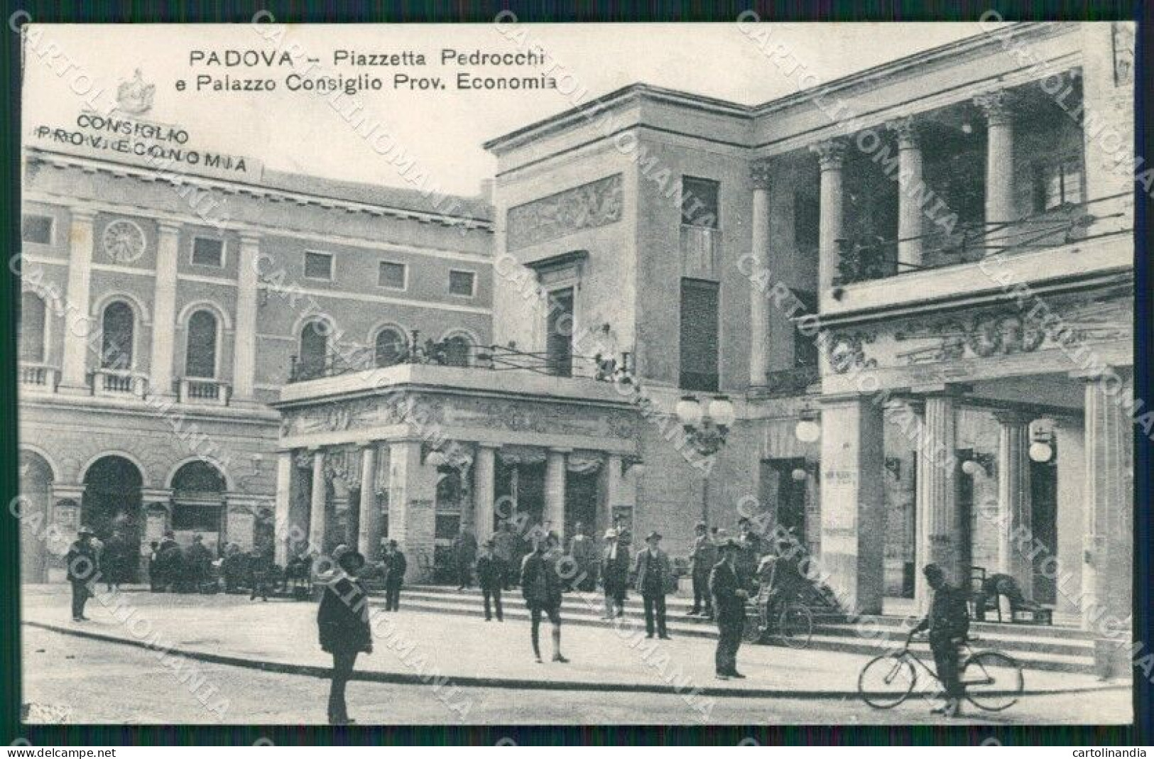 Padova Città Palazzo Consiglio Cartolina ZKM8798 - Padova