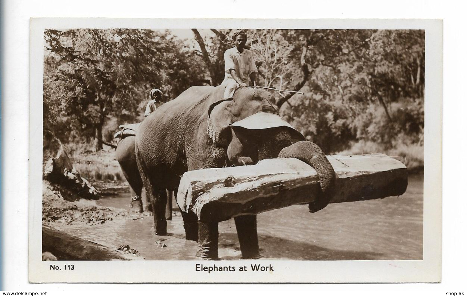 S4518/ Elephants At Work Elefanten  Indien Foto AK  - India