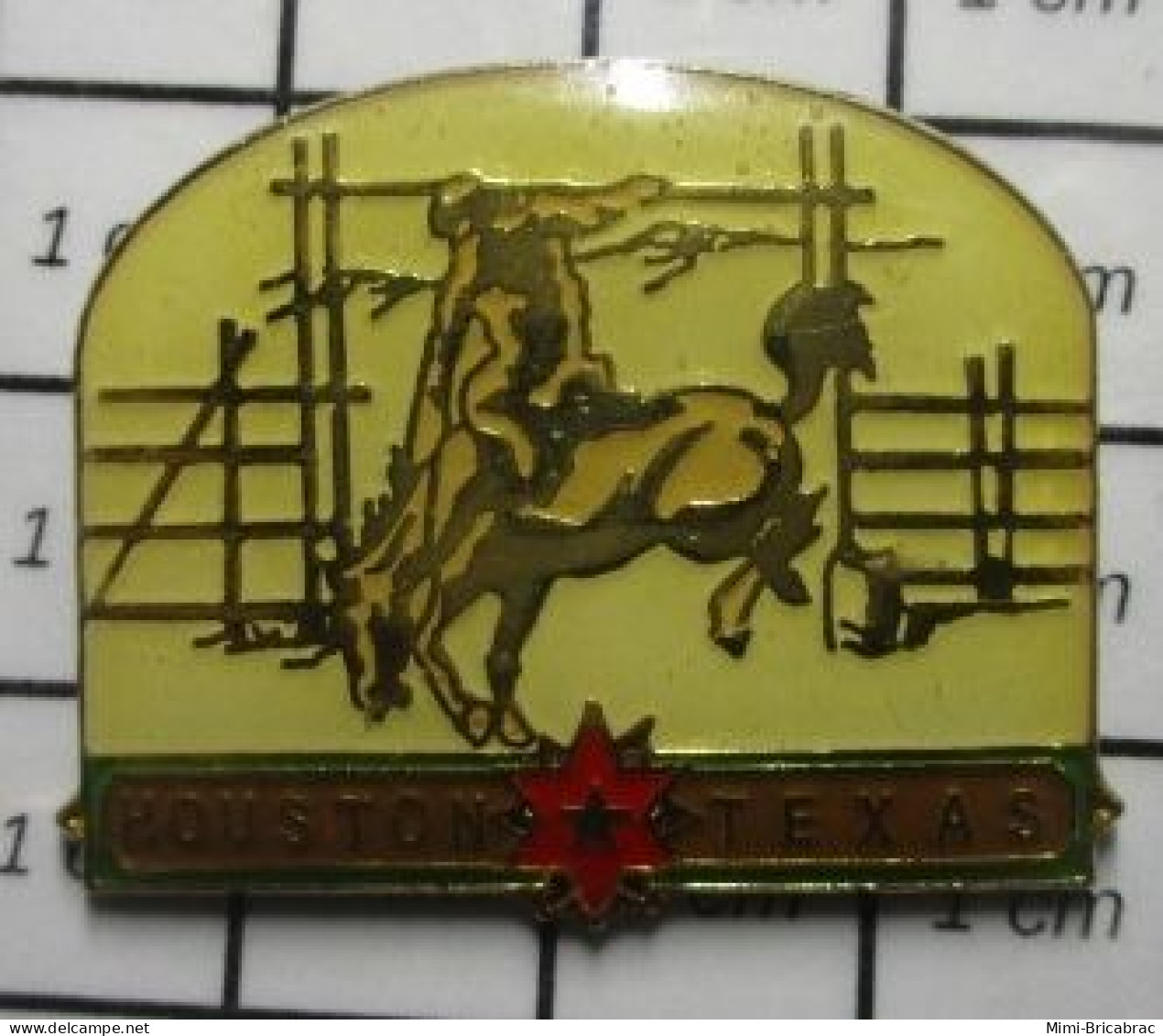 1618A Pin's Pins / Beau Et Rare : VILLES / HOUSTON TEXAS RODEO CHEVAL COW-BOY - Steden