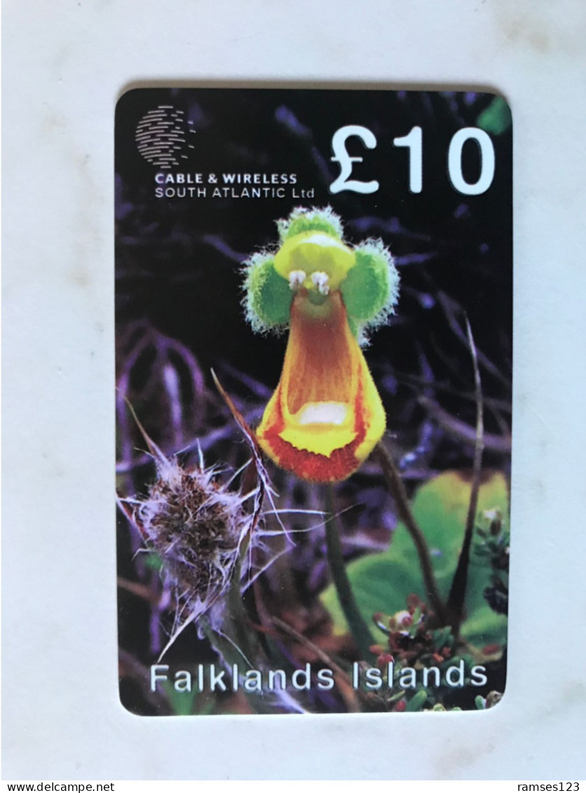 FALKLANDS      MINT - Isole Falkland