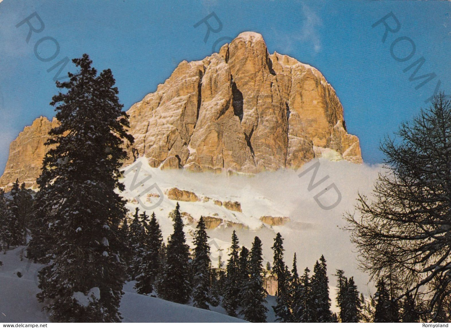 CARTOLINA  C8 TOFANA DI ROZES M.3225,BELLUNO,VENETO-DOLOMITI-VACANZA,MONTAGNA,NEVE,SCIARE,BELLA ITALIA,VIAGGIATA - L'Aquila