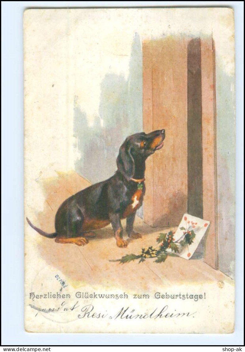 Y27127/ Dackel Dachshund  Geburtstag AK 1907 - Hunde