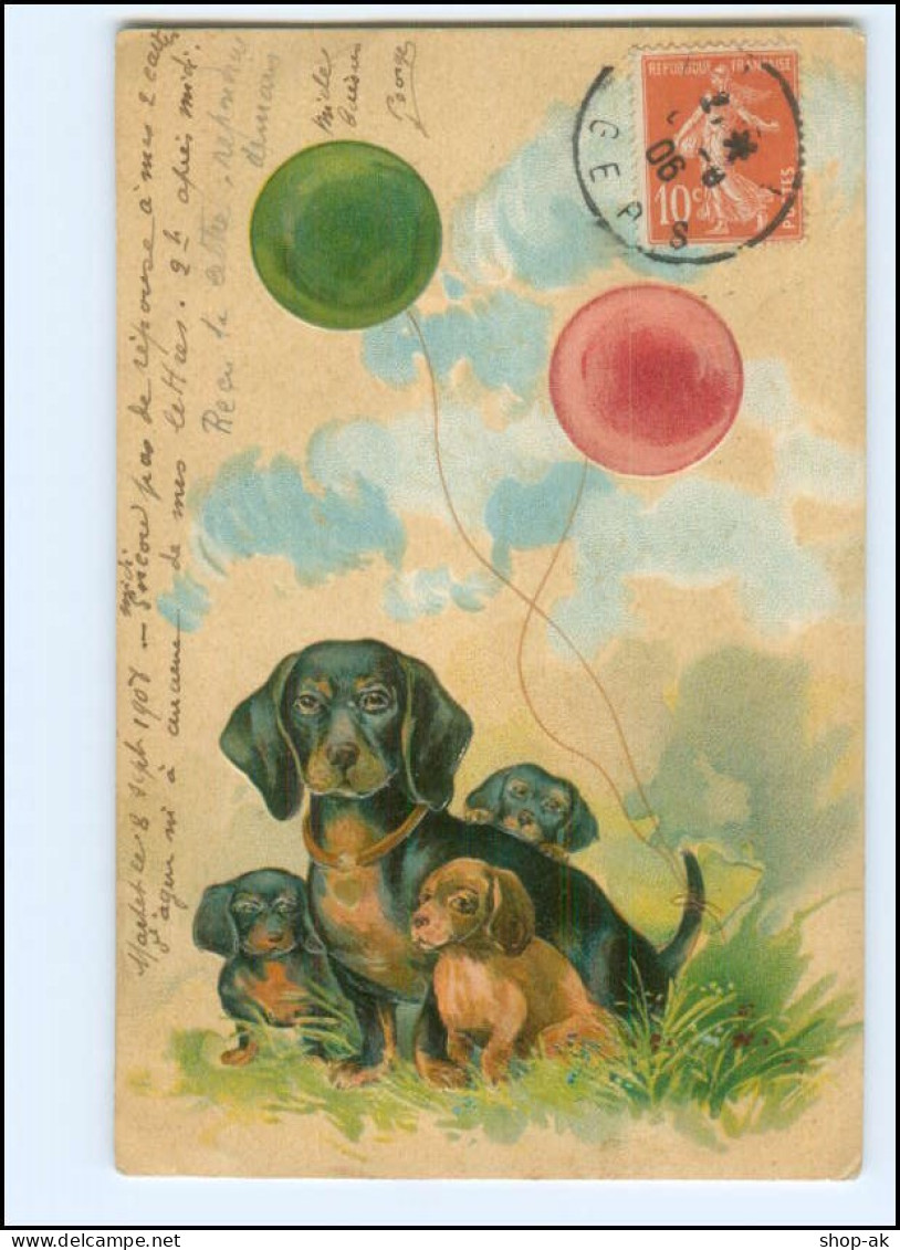 S4025/ Dackel Dachshund  Und Ballon  Litho Prägedruck AK 1906 - Hunde