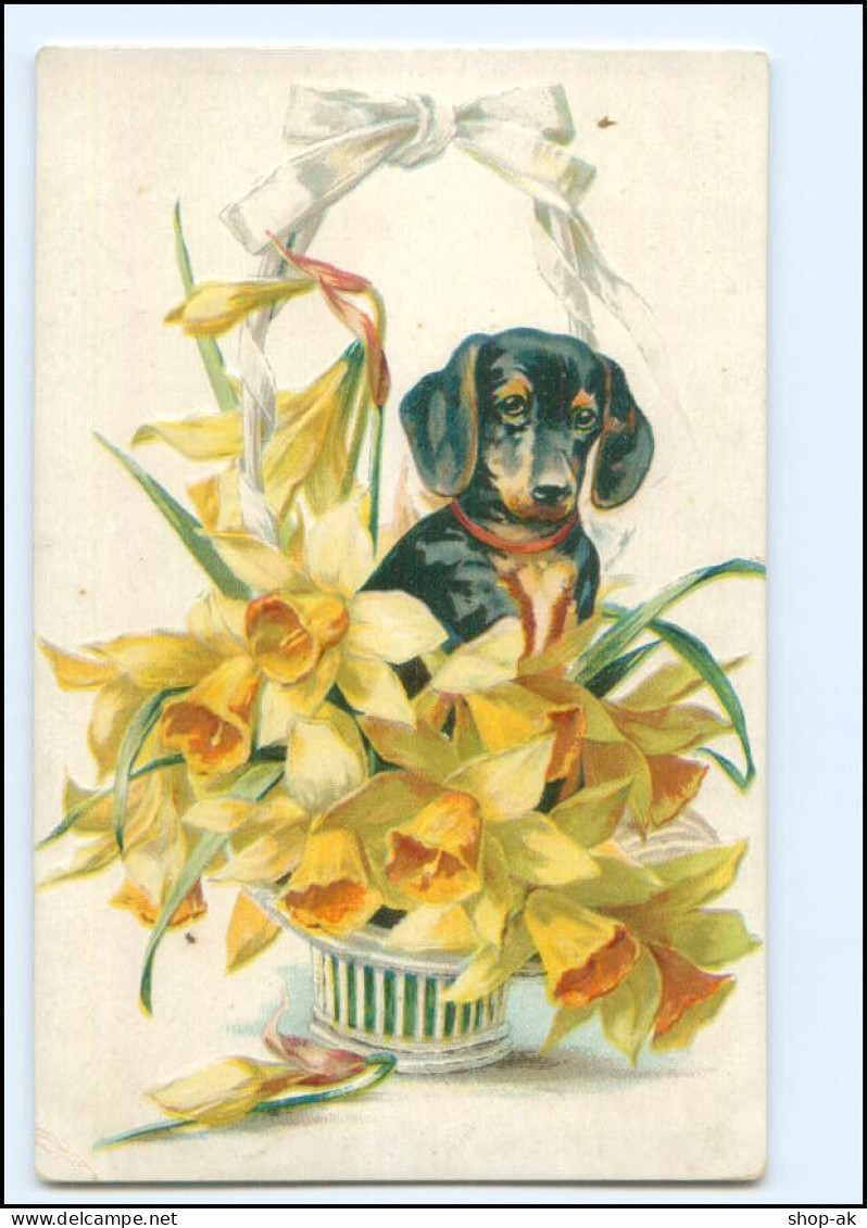 S4022/  Dackel Dachshund  Litho Prägedruck AK Ca.1910  - Dogs