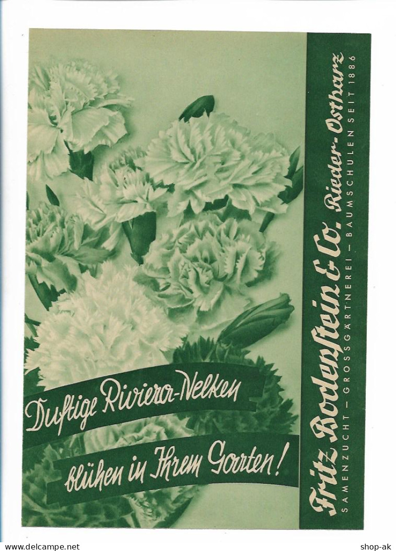 M0899/ Fritz Bodenstein & Co. Rieder-Ostharz Gärtnerei Baumschule 1936 Faltblatt - Advertising
