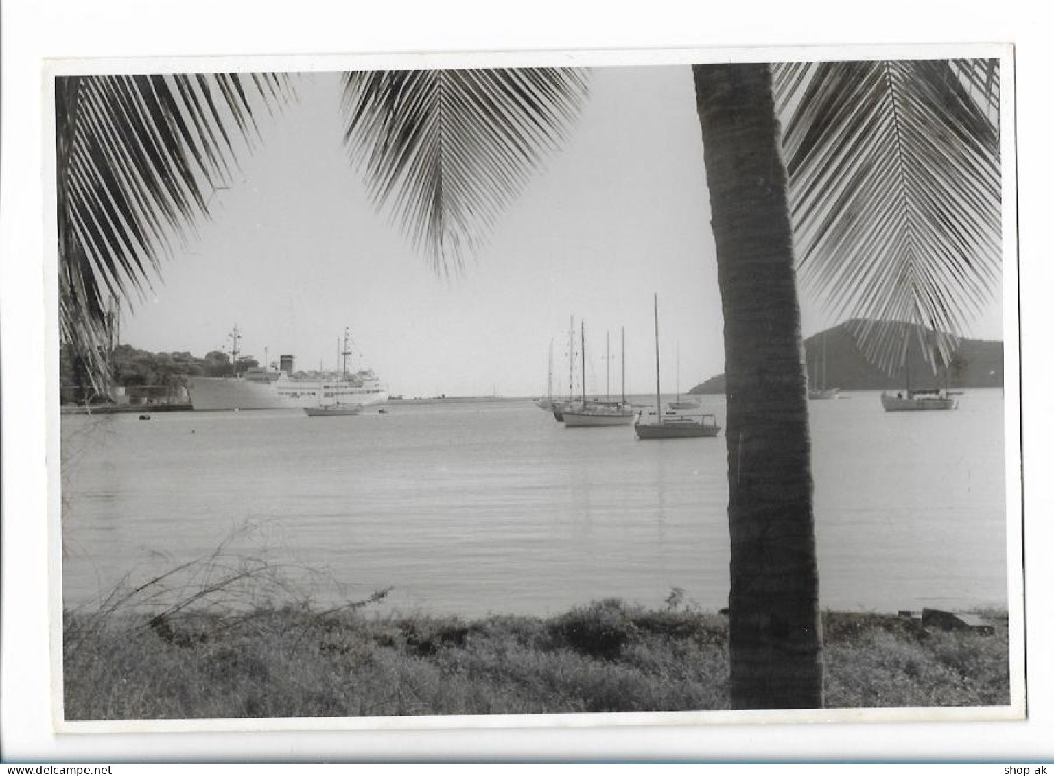 C5095/ Dampfer Ariadne In St. Thomas  Karibik Foto 21 X 14,5 Cm AK 1959 - Sin Clasificación